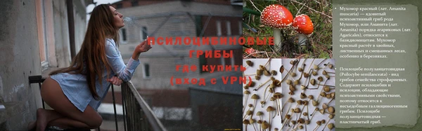 прущие крисы Абинск