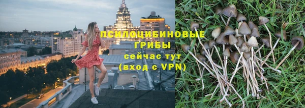 PSILOCYBIN Алексеевка