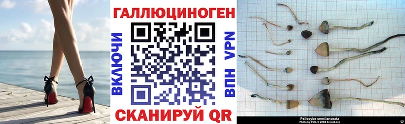 Галлюциногенные грибы Cubensis  Щёлково 